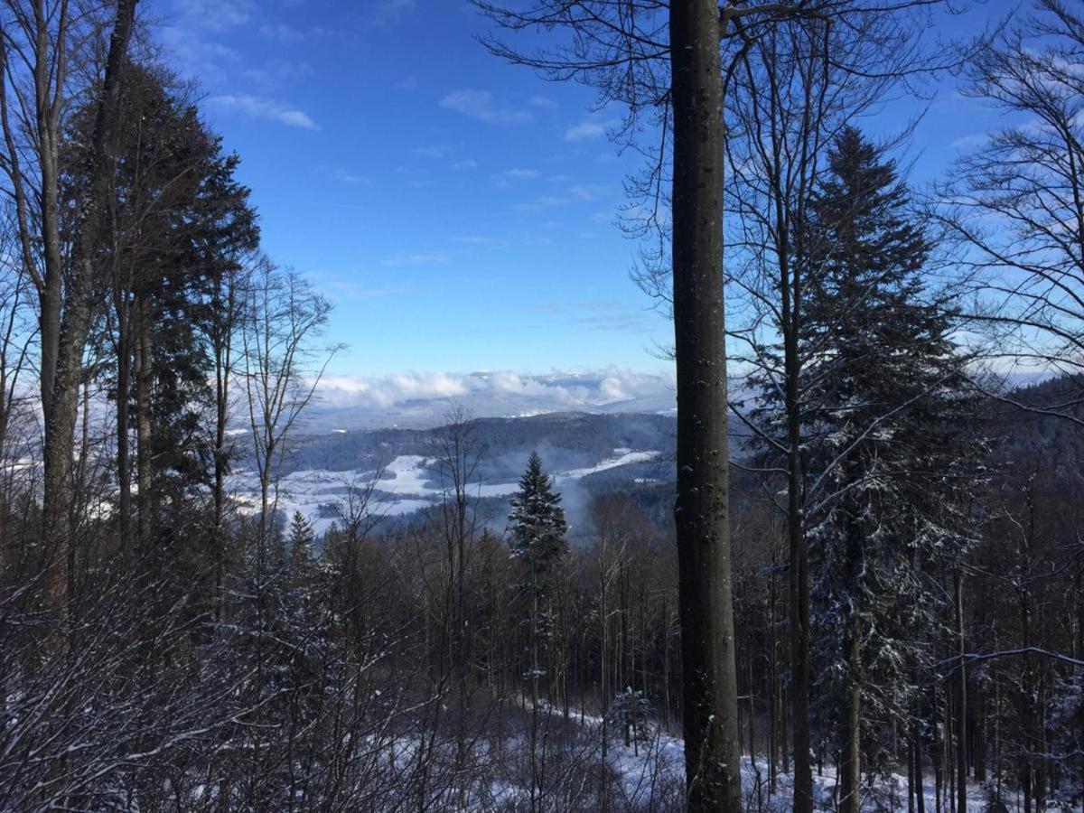 Waldheimat Alpehytte Miltach