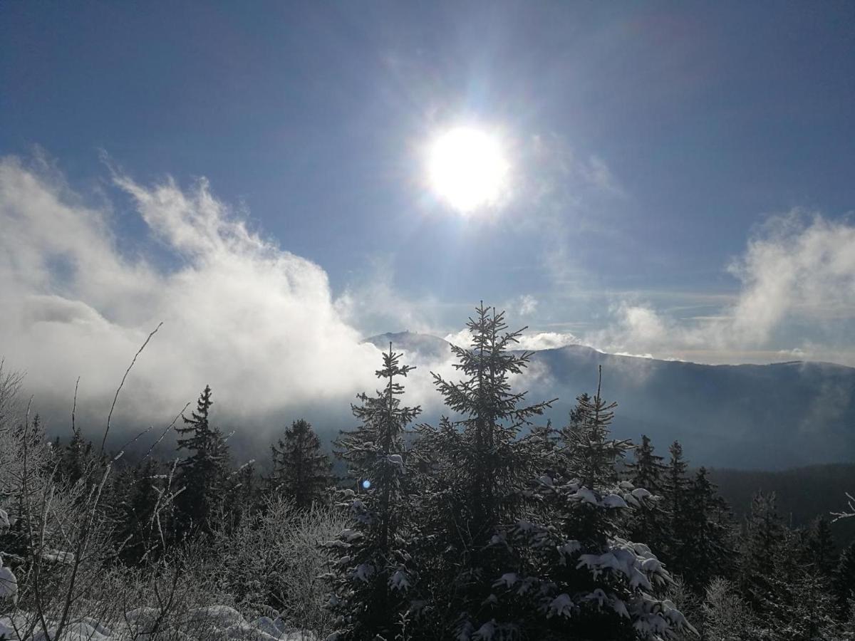 Waldheimat Chalet *
