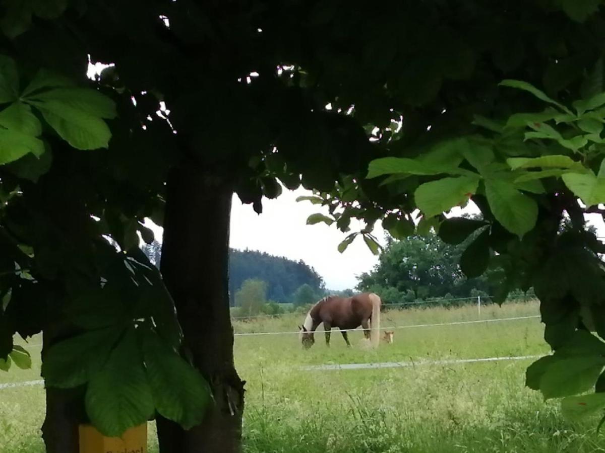 Waldheimat